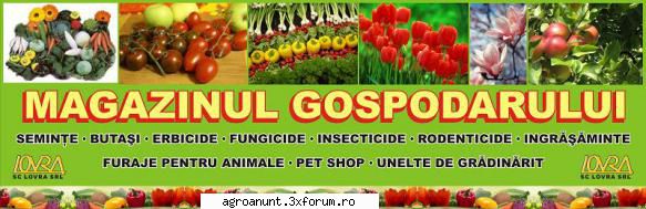 Furaje si Concentrate - Importator furaje si concentrate din Ungaria - HRANA PENTRU ANIMALE