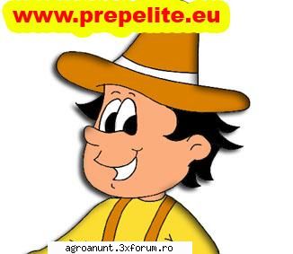 vand oua de prepelita, consum (tratament incubatie, pret rezonabil 2 ron/buc! carne de ron/buc,